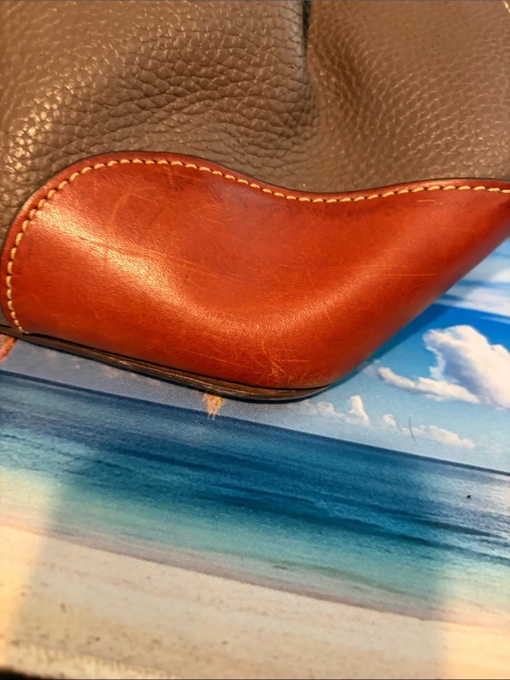 Dooney & Bourke dooney bourke